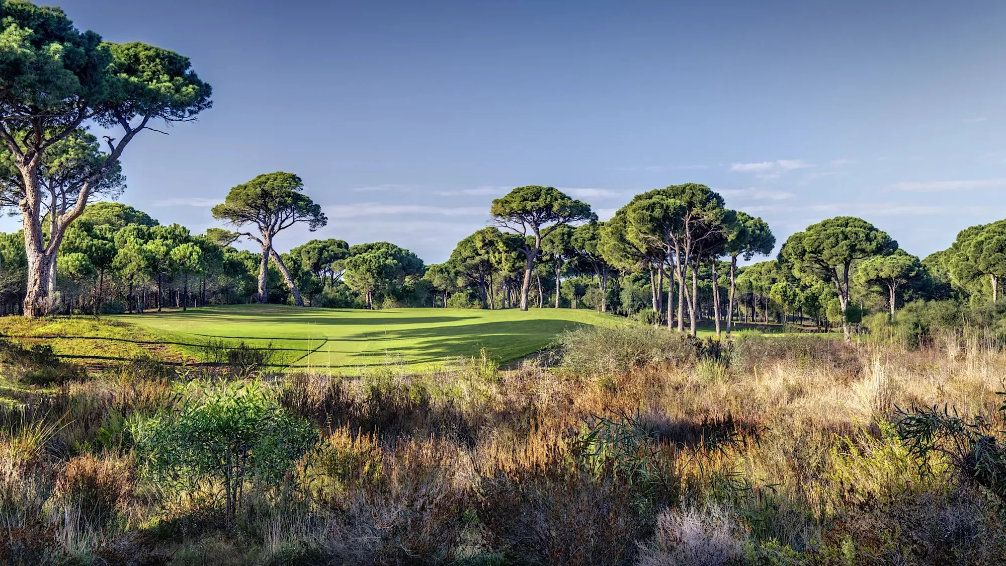 Cornelia Faldo Golf