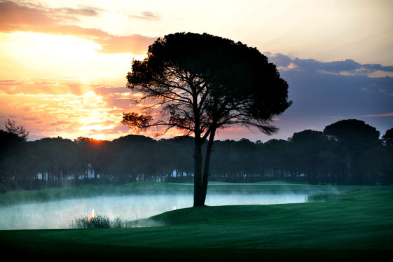 Montgomerie Maxx Royal Golf Club - Antalya