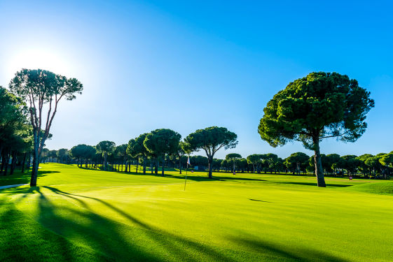 Gloria Golf Club-Antalya