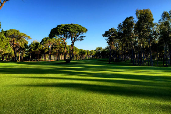 Kaya Palazzo Golf Club - Antalya